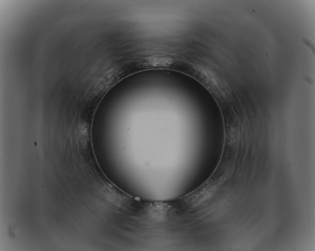 X0000091910321200709121522