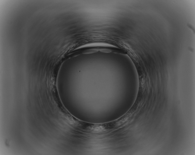 X0000091910322200709121522