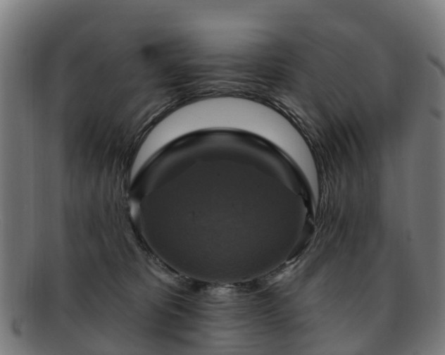 X0000091910325200709121522