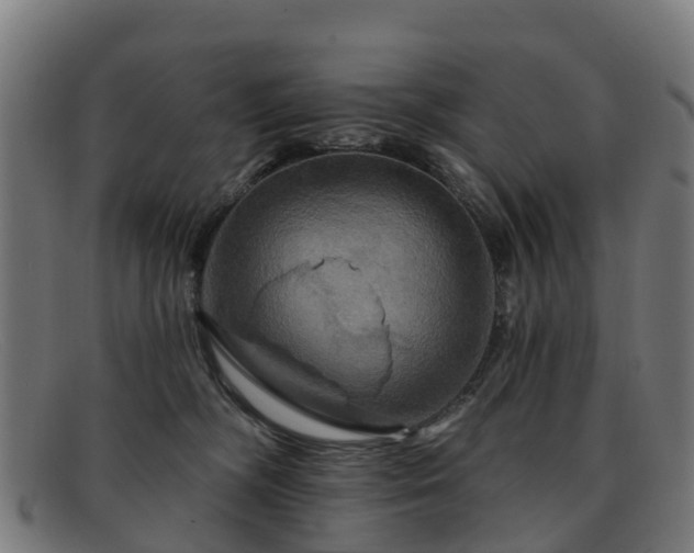 X0000091910326200709121522