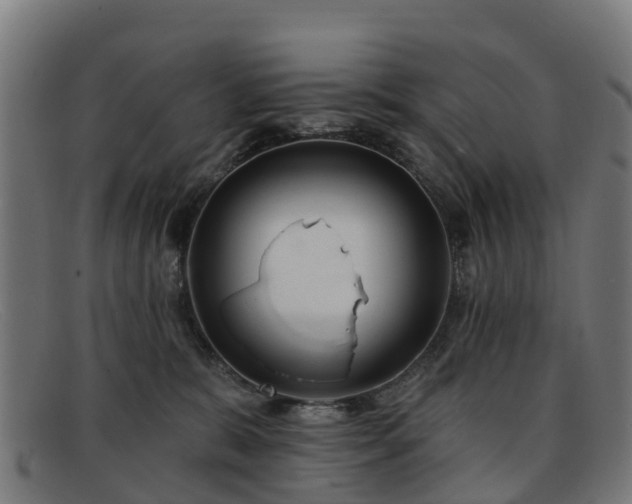 X0000091910327200709121522