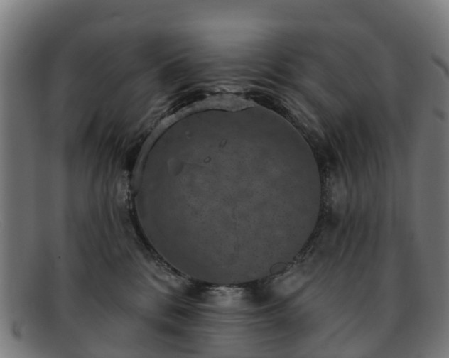 X0000091910328200709121522