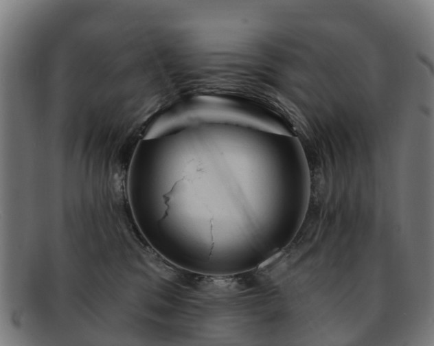 X0000091910329200709121522