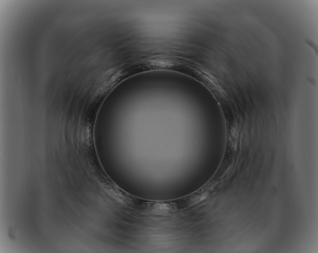 X0000091910330200709121522