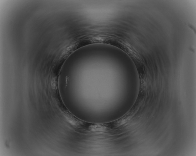 X0000091910331200709121522