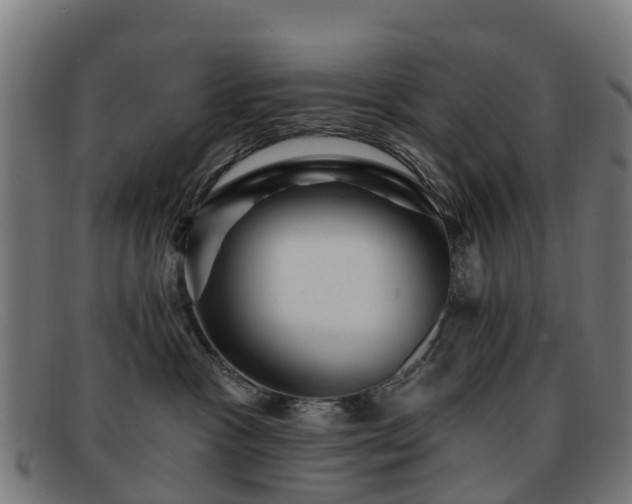 X0000091910333200709121522