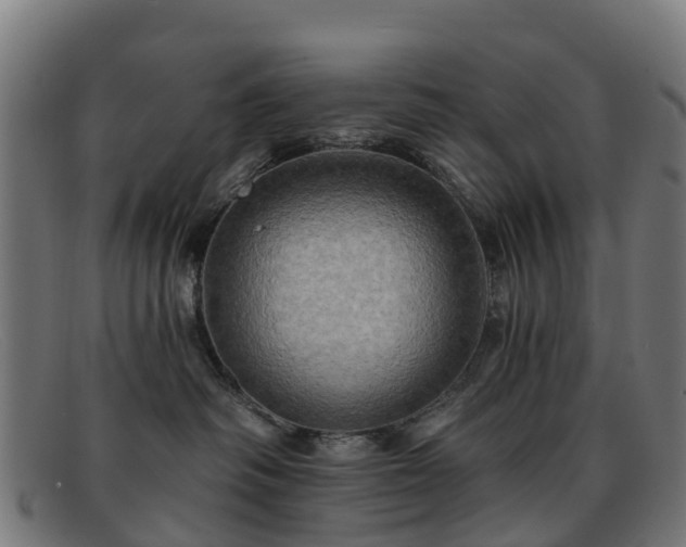 X0000091910334200709121522