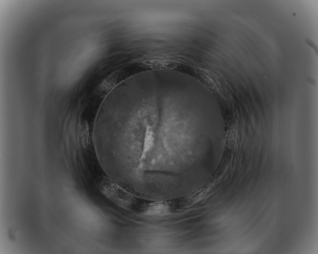 X0000091910335200709121522