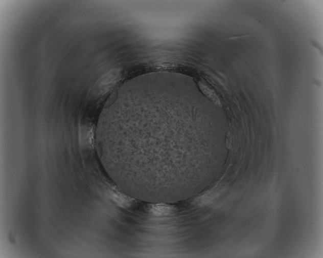 X0000091910336200709121522