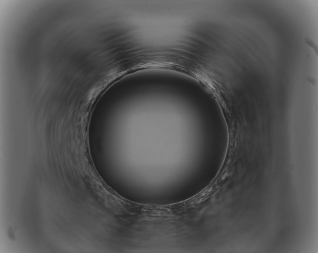 X0000091910337200709121521