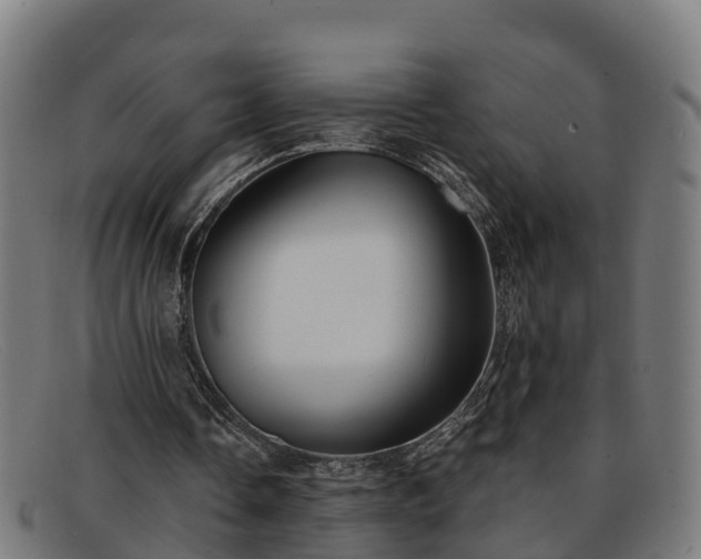 X0000091910338200709121521