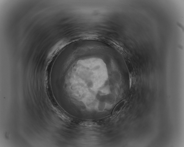 X0000091910339200709121521