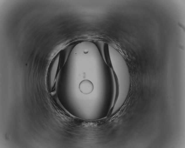 X0000091910340200709121521