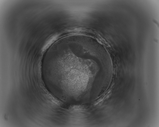 X0000091910341200709121521