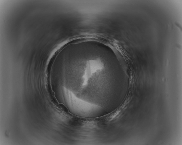 X0000091910342200709121521