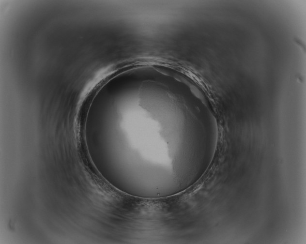 X0000091910343200709121521