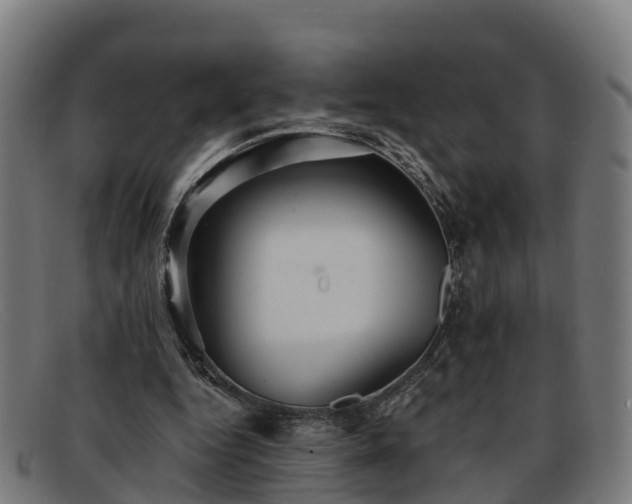 X0000091910344200709121521