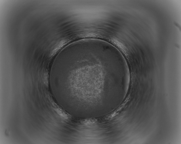 X0000091910345200709121521