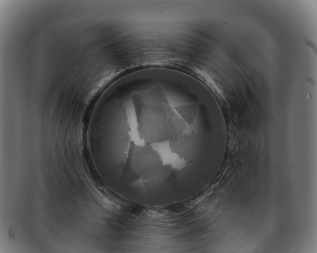 X0000091910346200709121521