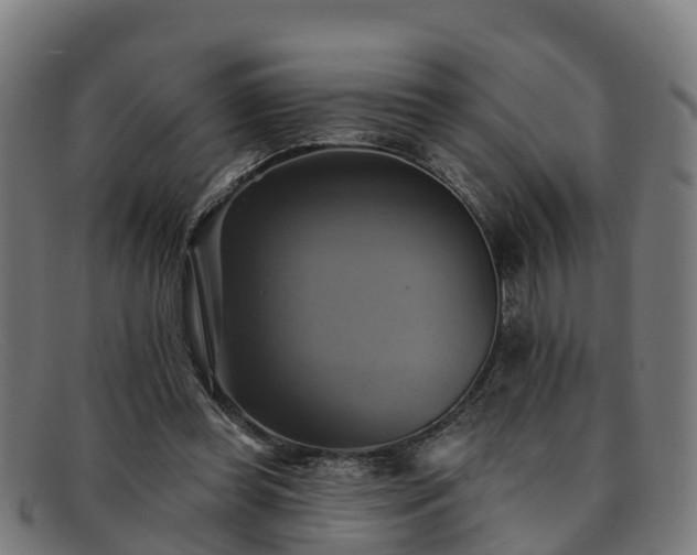 X0000091910349200709121521