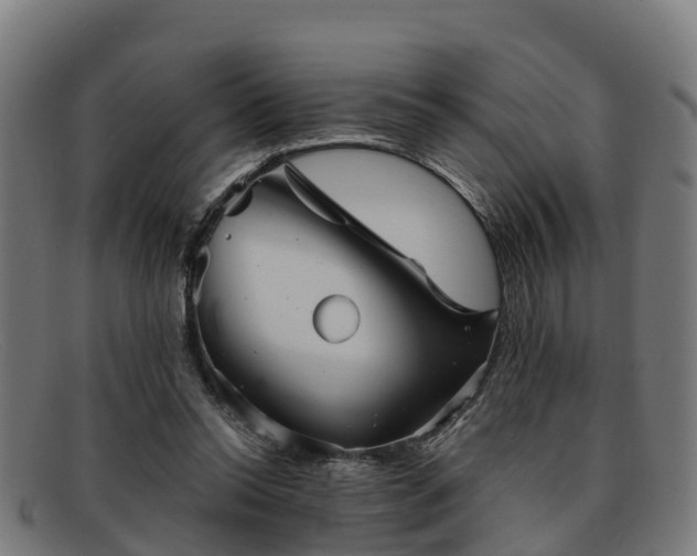 X0000091910350200709121521