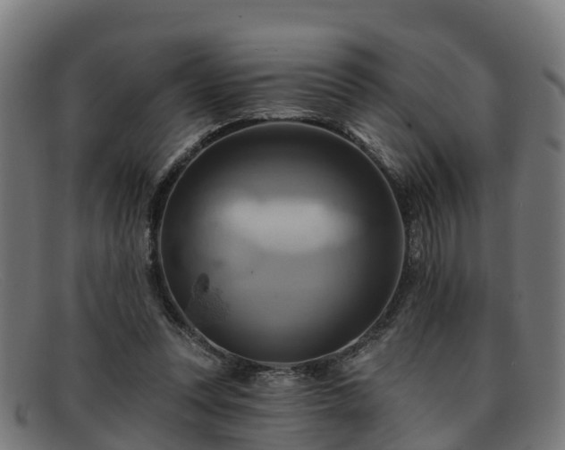 X0000091910351200709121521