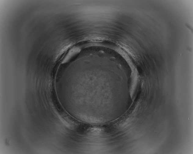 X0000091910352200709121521