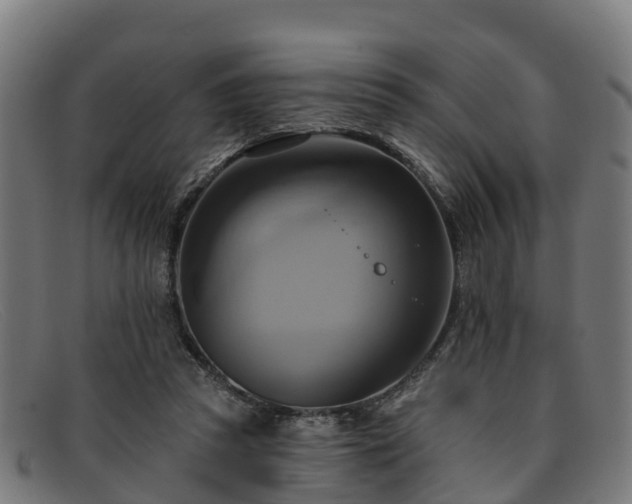 X0000091910353200709121521