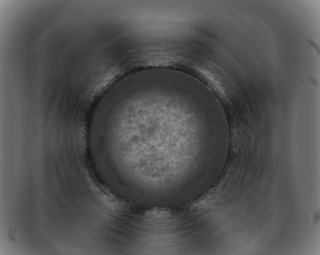 X0000091910354200709121521