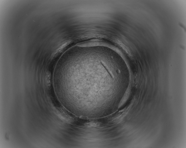 X0000091910356200709121522