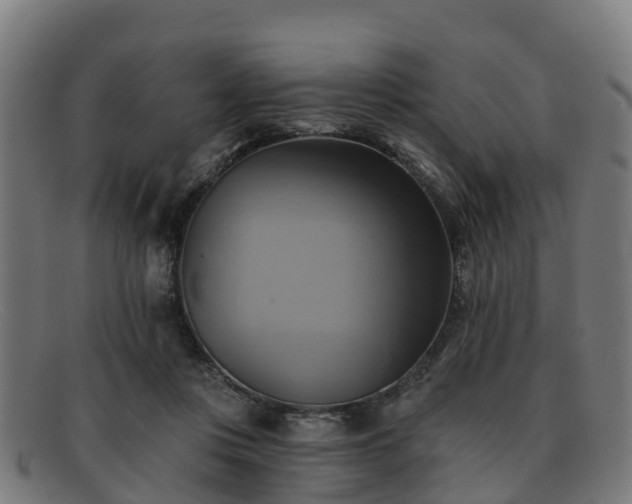 X0000091910359200709121522