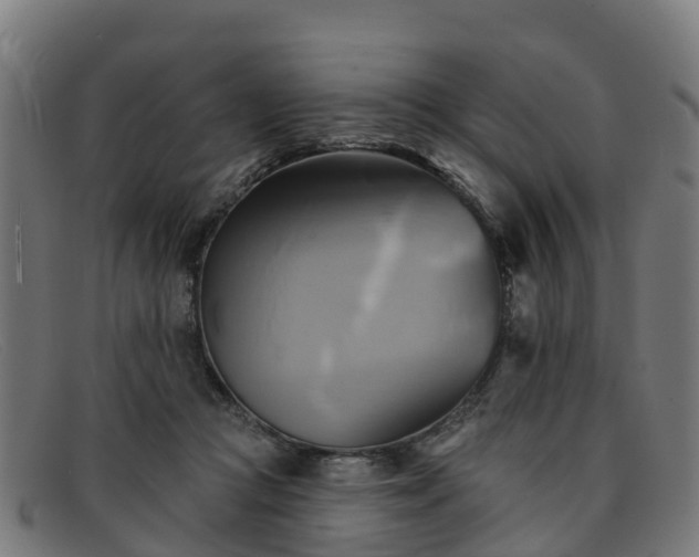 X0000091910361200709121522