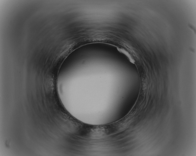 X0000091910362200709121522