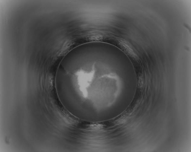 X0000091910363200709121522