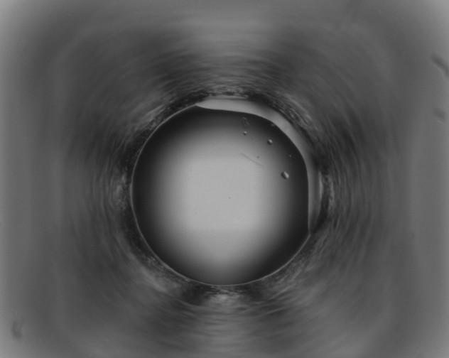 X0000091910364200709121522