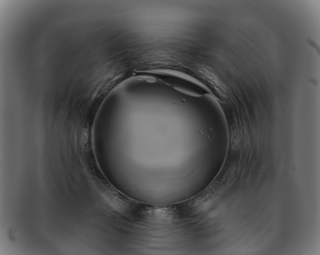 X0000091910365200709121522