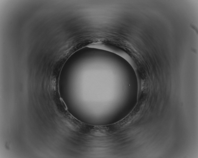 X0000091910368200709121522