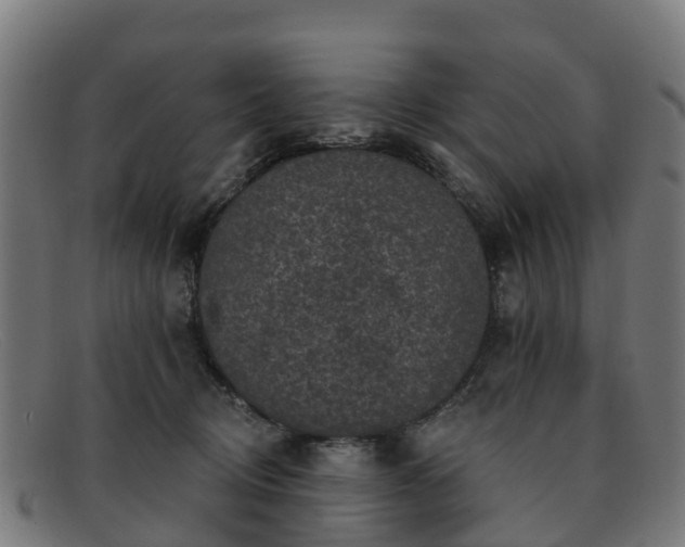 X0000091910370200709121522