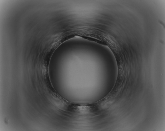 X0000091910371200709121522