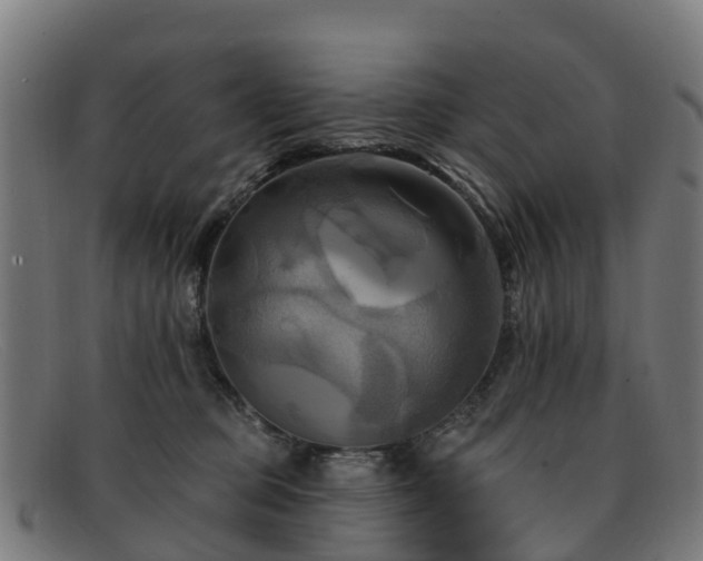 X0000091910373200709121522