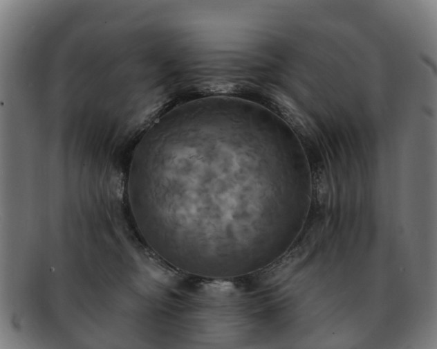 X0000091910374200709121522