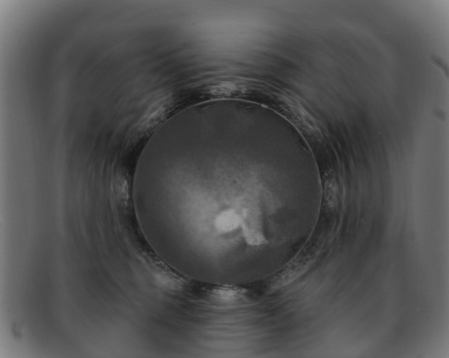 X0000091910375200709121522