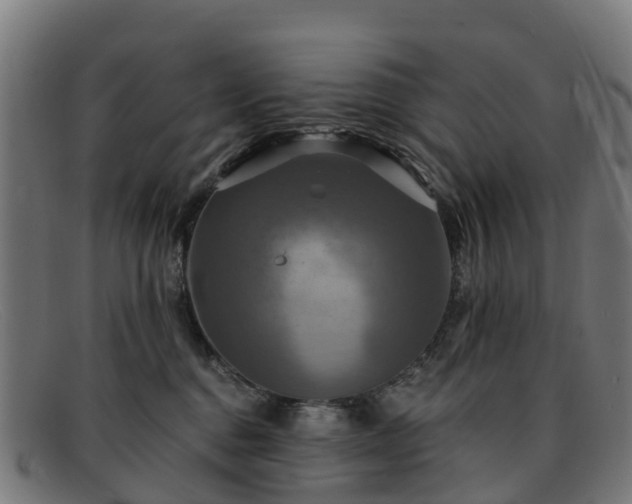 X0000091910376200709121522