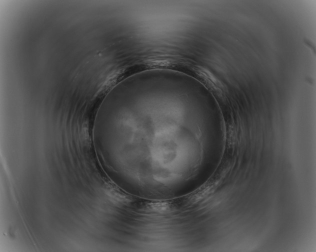 X0000091910377200709121522