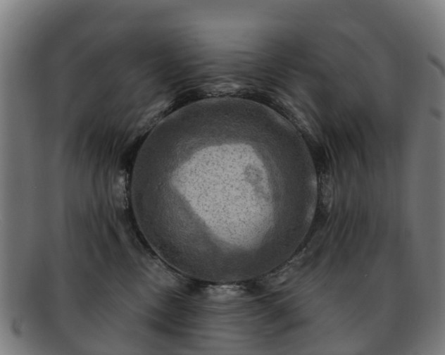 X0000091910378200709121522