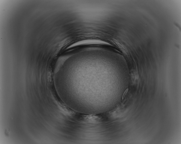 X0000091910379200709121522