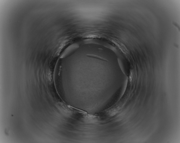 X0000091910380200709121522