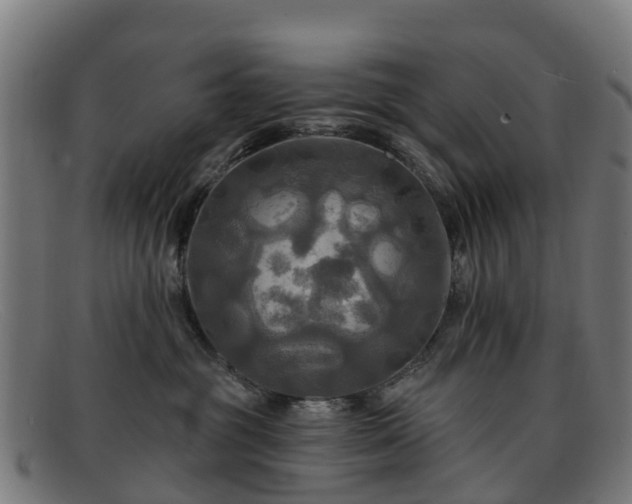 X0000091910381200709121522