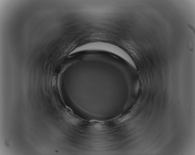 X0000091910382200709121522