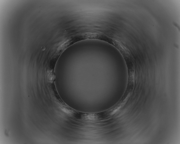 X0000091910383200709121522